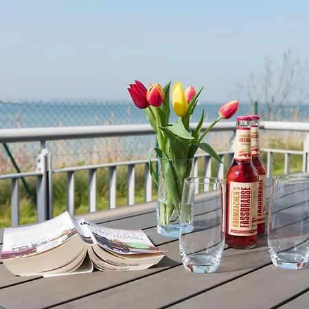 Living * אולפניץ